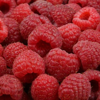 22 - Frambuesa y pimienta rosa