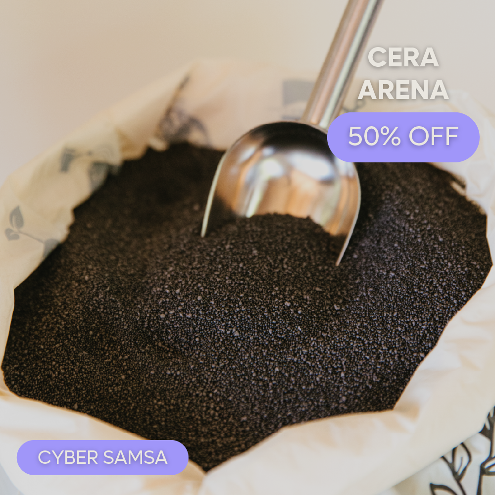 Cera Arena Perlada